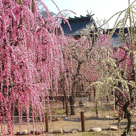 都シティ 津 津市 エクステリア 写真