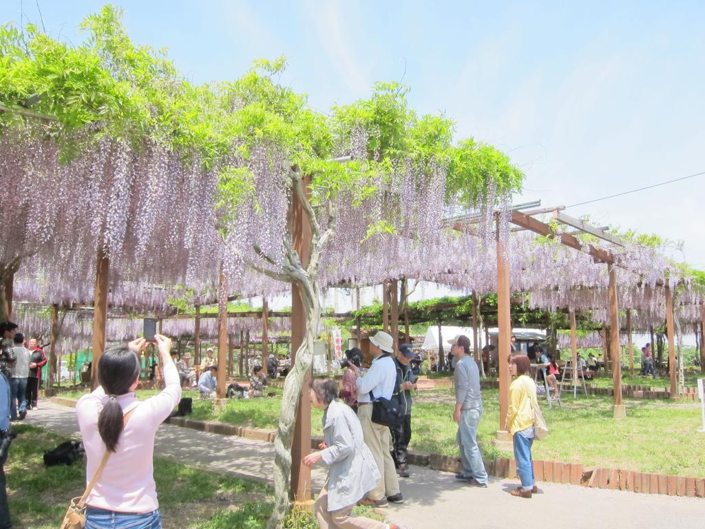 都シティ 津 津市 エクステリア 写真